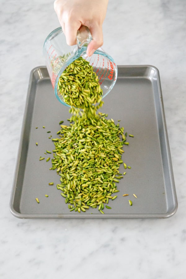 Pouring slivered pistachios onto a baking sheet before toasting them.