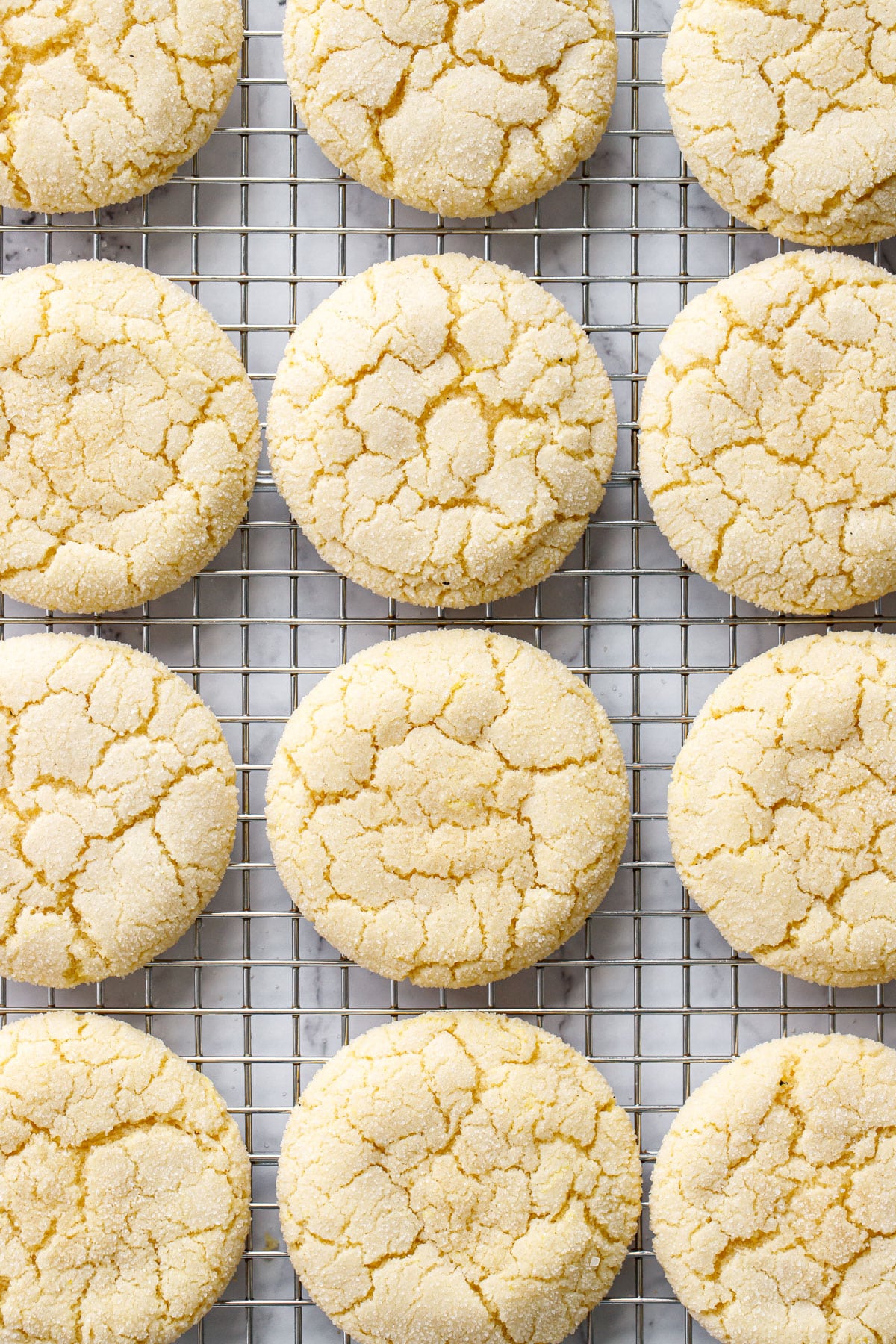 Overhead view of rows of Lemon Olive Oil Sugar Cookies with crinkly tops.