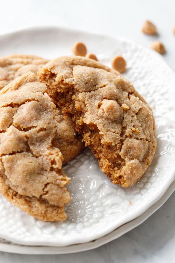 Broken Salted Peanut Butter Chip Cookie showcasing the soft crumb on the inside.