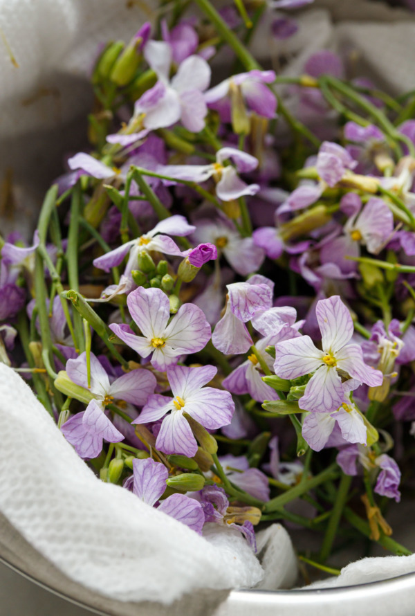 Bowl filled with fresh radish flowers, with purple veined petals and yellow centers.